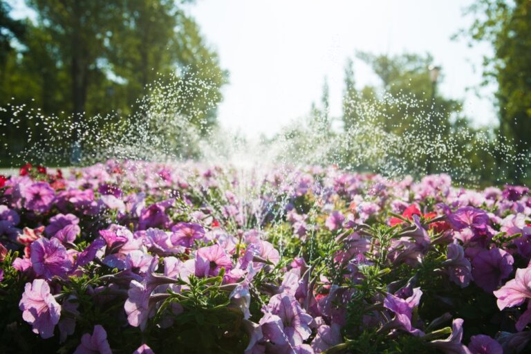 3 handige tuin gadgets voor deze zomer Vanessablogt